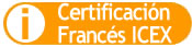 Prueba ICEX de Francés